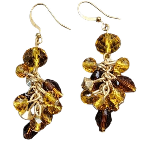 Jewelry - Elegant Gold and Brown Beaded Earrings